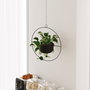 Aberto Design Payanda - Maceta Decorativa Negra